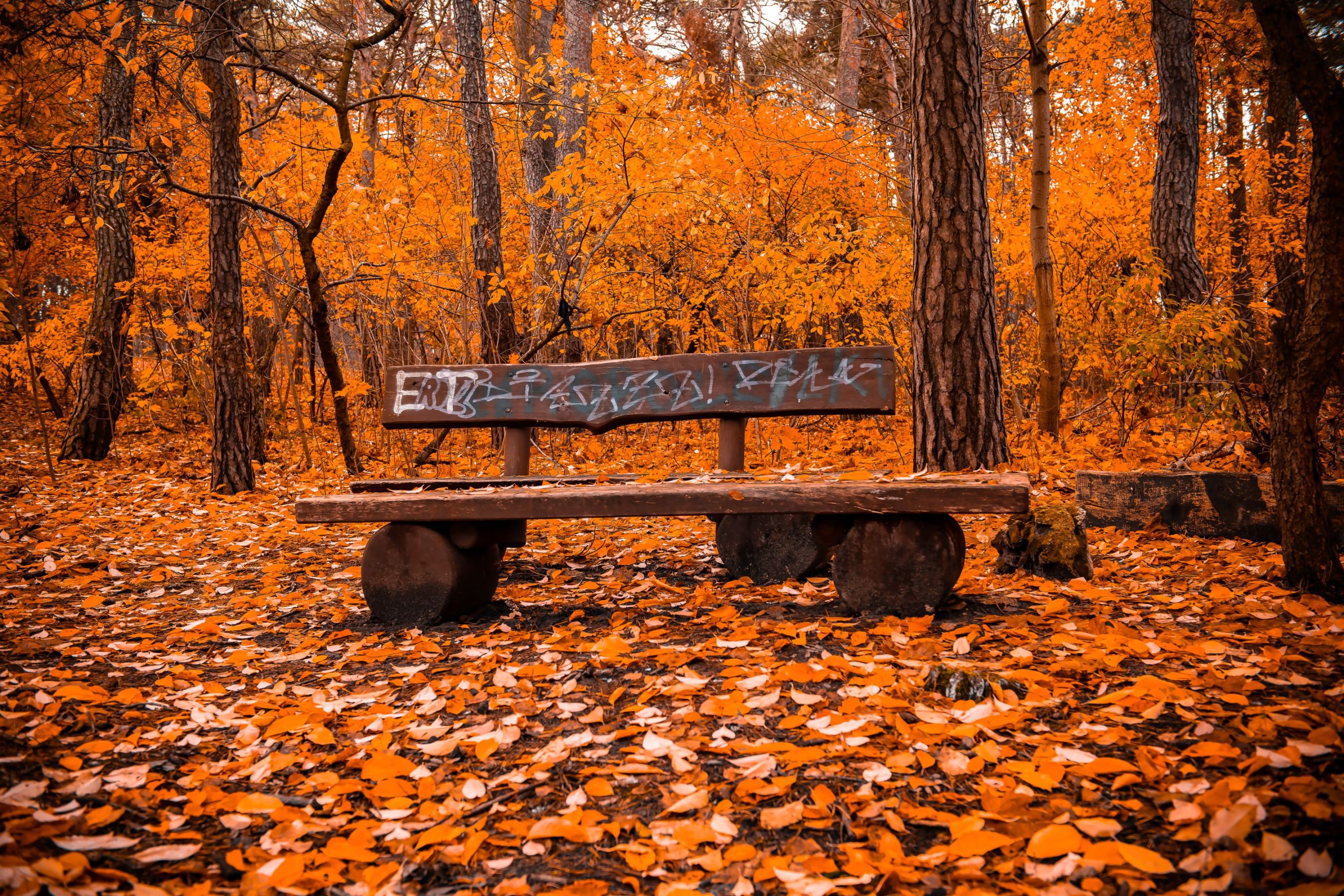 Krzysztof Jaworski-8